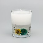 Свеча ароматическая «Black cedar», 200 гр - Фото 4