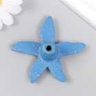 Ручка дверная чугун "Морская звезда" голубая с патиной 6,6х7,4 см - Фото 4