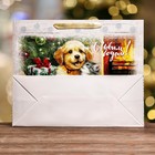 Пакет подарочный новогодний ламинированный горизонтальный «С Новым годом», 49×40×19 см - Фото 2