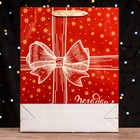 Пакет ламинированный вертикальный "Загадай желание",33 х 42 х 10 см - фото 22901671