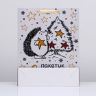 Пакет подарочный новогодний ламинированный вертикальный «Пакетик счастья», 33×42×10 см - Фото 2