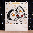 Пакет подарочный новогодний ламинированный вертикальный «Пакетик счастья», 33×42×10 см - Фото 4