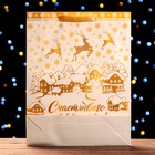 Пакет подарочный новогодний ламинированный вертикальный «Олени», 33×42×10 см - Фото 2