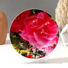Тарелка декоративная "Роза", D = 17,5  см - фото 1486619
