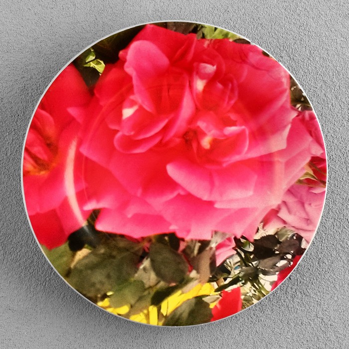 Тарелка декоративная "Роза", D = 17,5  см - фото 1928291361