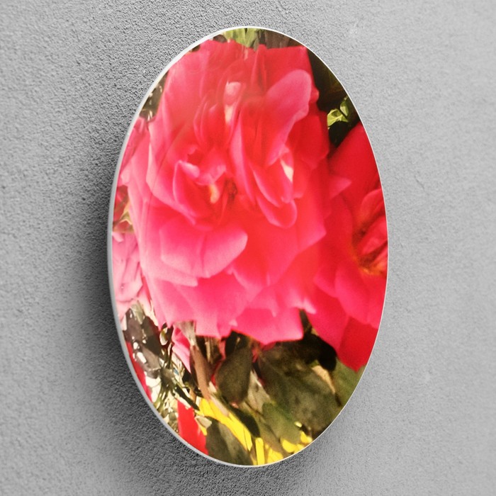 Тарелка декоративная "Роза", D = 17,5  см - фото 1907840283