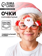 Карнавальные очки «Новогоднее настроение», виды МИКС - Фото 1