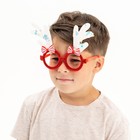 Карнавальные очки «Рожки», цвета МИКС - фото 11053465