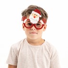 Карнавальные очки «Дед Мороз» - фото 283351734