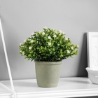 Искусственный цветок в горшке «Цветочная симфония», 8×17 см, МИКС - Фото 1