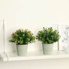 Искусственный цветок в горшке «Цветочная симфония», 8×17 см, МИКС - Фото 4