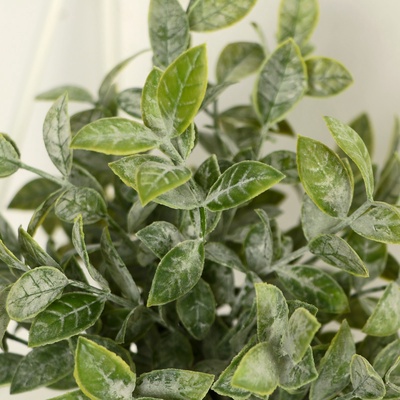 Искусственный цветок в горшке «Педилантус», 8×20 см