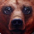 Антистресс подушки «Медведь» - фото 9698997