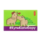 Блокнот А7, 48 листов, в клетку, на склейке, "КупиКапибару", обложка мелованная бумага, ламинация, трёхцветный блок, блок 60 г/м2, 5В МИКС 9942135