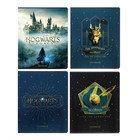 Тетрадь 48 листов клетка "-Hogwarts Legacy-Гарри Поттер", обложка мелованный картон, скругленные углы, блок 65 г/м2, 5В МИКС - фото 320123575