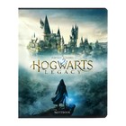 Тетрадь 48 листов клетка "-Hogwarts Legacy-Гарри Поттер", обложка мелованный картон, скругленные углы, блок 65 г/м2, 5В МИКС - фото 8877746
