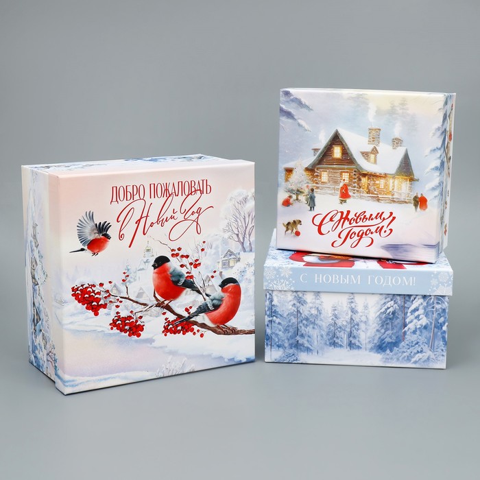 Набор подарочных коробк 3 в 1 «Новогодняя сказка», 18 × 18 × 10 – 22 × 22 × 12 см - Фото 1