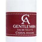Туалетная вода мужская Chris Adams Ca Gentleman, 100 мл - Фото 3