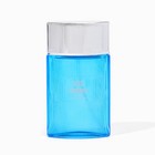 Парфюмерная вода мужская Chris Adams Blue Corduroy, 100 мл - фото 22938717