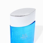 Парфюмерная вода мужская Chris Adams Blue Corduroy, 100 мл - фото 22938718