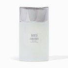 Парфюмерная вода мужская Chris Adams White Corduroy, 100 мл - фото 22950150