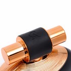 Парфюмерная вода женская Chris Adams Boss Babe, 100 мл - фото 22938750