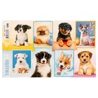 Декоративные наклейки "Собаки. Милые друзья" глиттер, 16х9,7 см - фото 320166217