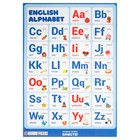Плакат "Английский язык" картон, А2 - фото 8243680