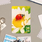 Календарь карманный "Ромашка" картон, 6,4х9,3 см - фото 11066840