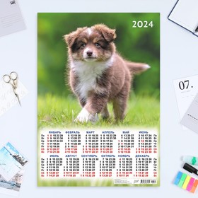 Календарь листовой "Собаки - 1" 2024 год, 42х60 см, А2