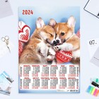 Календарь листовой "Собаки - 2" 2024 год, 42х60 см, А2 - фото 11053608