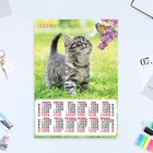 Календарь листовой "Кошки - 1" 2024 год, 30х42 см, А3 - фото 11053610