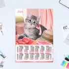 Календарь листовой "Кошки - 3" 2024 год, 30х42 см, А3 - фото 11053612