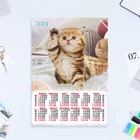 Календарь листовой "Кошки - 4" 2024 год, 30х42 см, А3 - фото 11053613