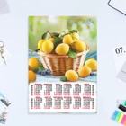 Календарь листовой "Натюрморт - 2" 2024 год, фрукты, 30х42 см, А3. - фото 11053619