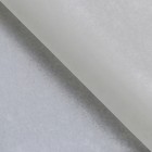 Бумага упаковочная тишью, дымчато белая, 50 х 66 см - Фото 1