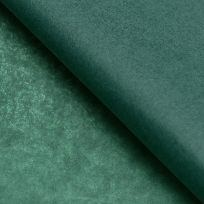 Бумага упаковочная тишью, хвойный, 50×66 см - Фото 1