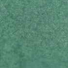 Бумага упаковочная тишью, хвойный, 50×66 см - Фото 2