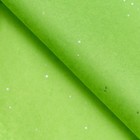 Бумага упаковочная тишью, "Конфетти", зелёное яблоко, 50 х 66 см - фото 320082306