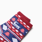 Носки детские махровые "Скандинавские узоры" цвет красный, размер 22-24 - Фото 2