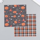 Набор бумаги для скрапбукинга 12 листов 12 дизайнов "Хэллоуин" 160 гр 15,2х15,2 см - Фото 3