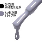 Гель лак для ногтей, «CLASSIC COLORS», 3-х фазный, 8мл, LED/UV, цвет светло-графитовый (76) - Фото 4