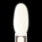 Гель лак для ногтей «GLOW IN THE DARK», 3-х фазный, 8 мл, LED/UV, люминесцентный, цвет земляничный (09) - Фото 12