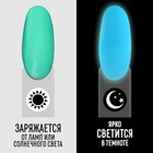 Гель лак для ногтей «GLOW IN THE DARK», 3-х фазный, 8 мл, LED/UV, люминесцентный, цвет лазурный (21) - Фото 2
