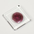 Гель-лак для ногтей, кошачий глаз, трехфазный, 8 мл, LED/UV, розовый (03) - Фото 9