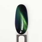 Гель-лак для ногтей, «CAT`S EYE», 3-х фазный, 8мл, LED/UV, цвет хамелеон/зелёный (05) - Фото 11