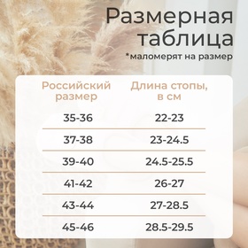 Тапочки мужские размер 42-43, синий 9688919