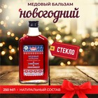 Новогодний медовый бальзам алтайский "Анти-простудный", 250 мл - Фото 1