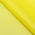 Пленка матовая, "PASTEL", Желтый 0,59 х 7 м 180гр - фото 7505193