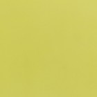 Пленка матовая, "PASTEL", Желтый 0,59 х 7 м 180гр - фото 7505194